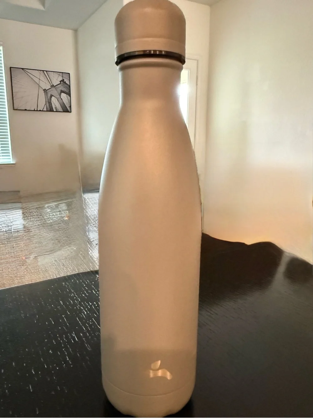 Matte Cream Insulated Bottle with Subtle Logo - Picture 1 of 5